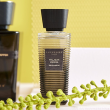 Eau de parfum - MALABAR PEPPER